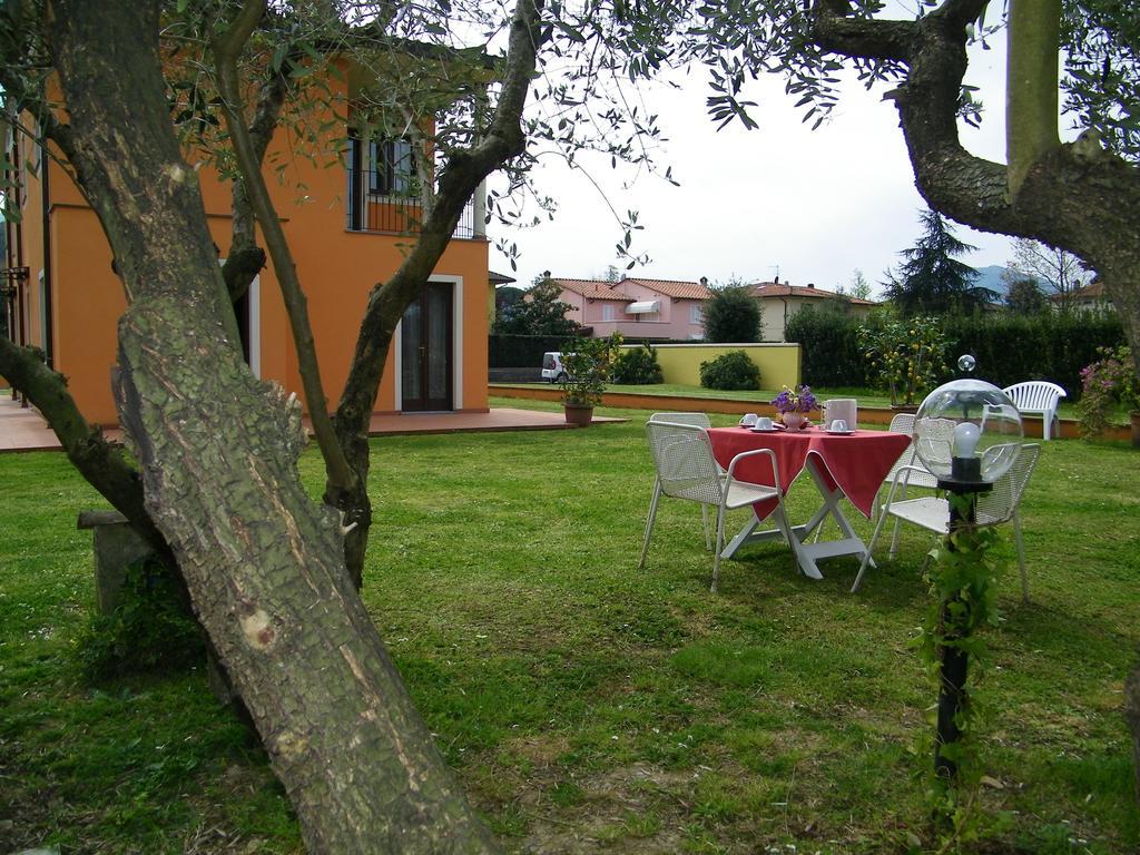 Triolivo * Lucca