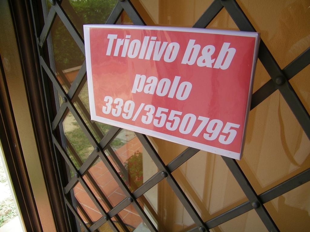 Triolivo Bed & Breakfast Lucca